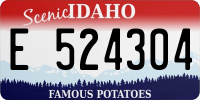 ID license plate E524304