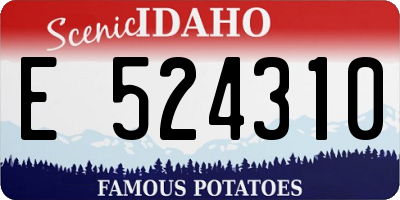 ID license plate E524310