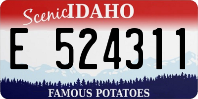 ID license plate E524311