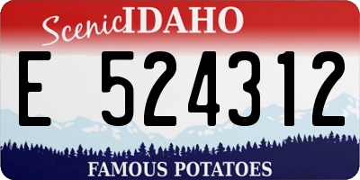 ID license plate E524312