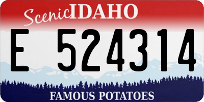 ID license plate E524314