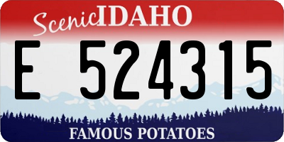 ID license plate E524315