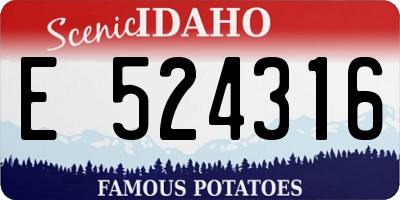 ID license plate E524316