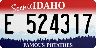 ID license plate E524317