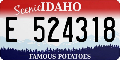 ID license plate E524318