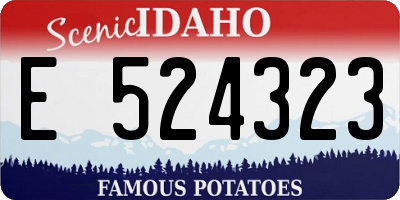 ID license plate E524323