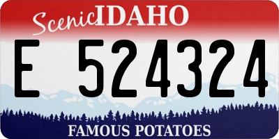 ID license plate E524324