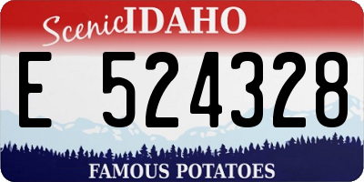 ID license plate E524328