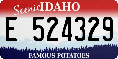 ID license plate E524329