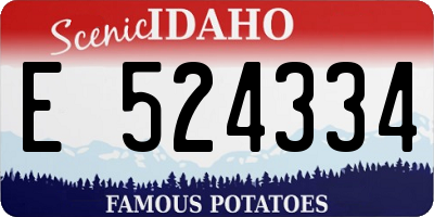 ID license plate E524334