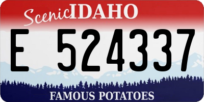 ID license plate E524337