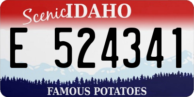 ID license plate E524341