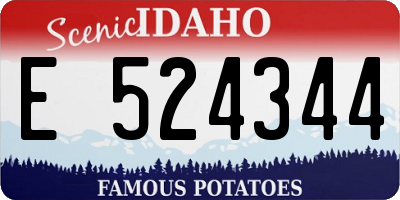 ID license plate E524344