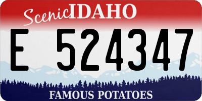ID license plate E524347