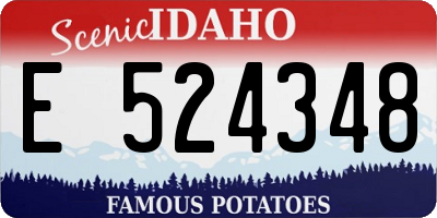 ID license plate E524348