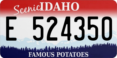 ID license plate E524350
