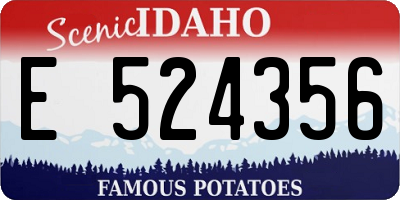 ID license plate E524356