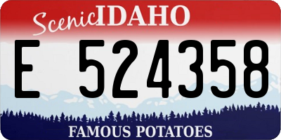 ID license plate E524358