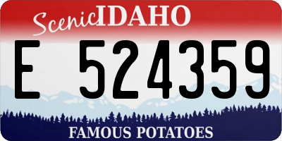 ID license plate E524359