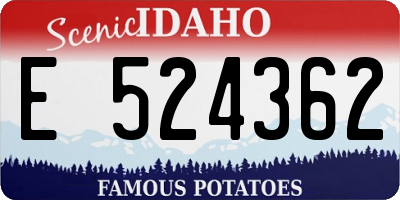 ID license plate E524362