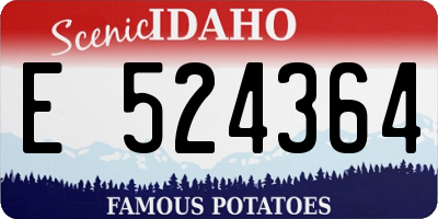 ID license plate E524364