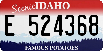 ID license plate E524368
