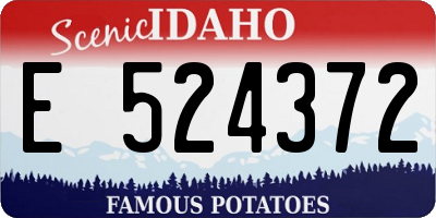 ID license plate E524372