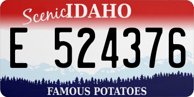 ID license plate E524376