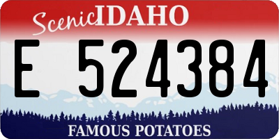 ID license plate E524384