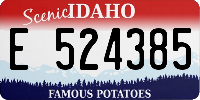 ID license plate E524385