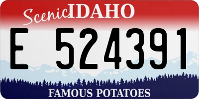 ID license plate E524391