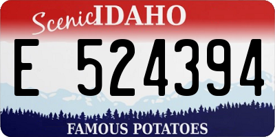 ID license plate E524394