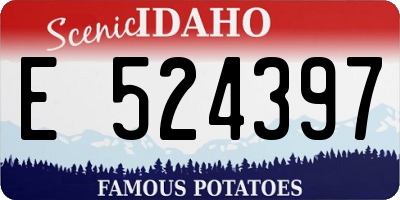 ID license plate E524397