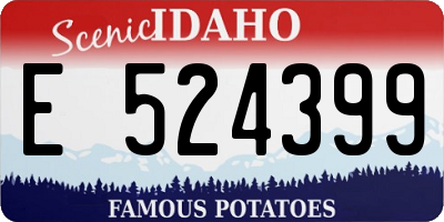 ID license plate E524399