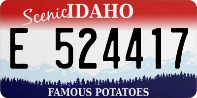 ID license plate E524417