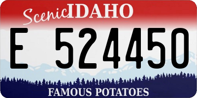 ID license plate E524450