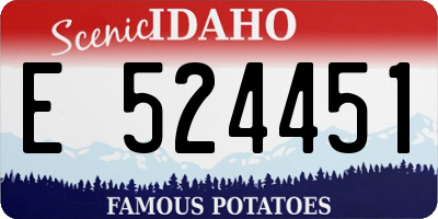ID license plate E524451