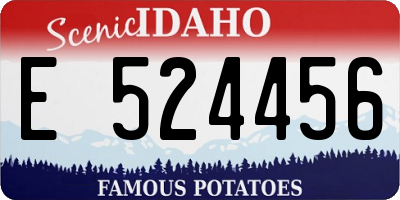 ID license plate E524456