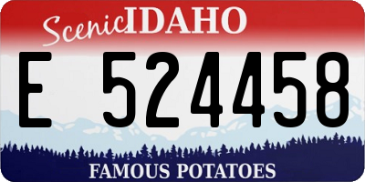 ID license plate E524458
