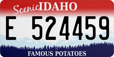 ID license plate E524459