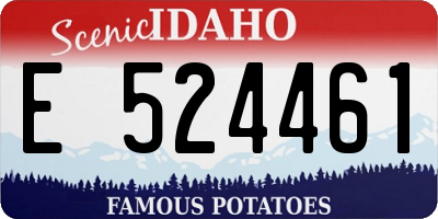 ID license plate E524461