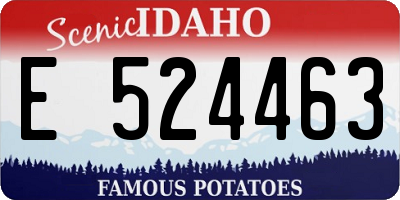 ID license plate E524463