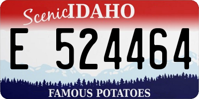 ID license plate E524464