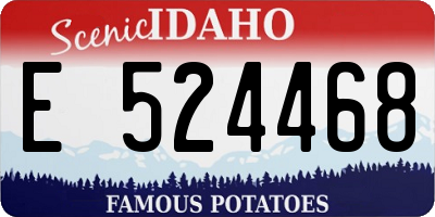 ID license plate E524468