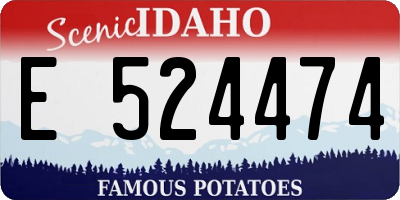 ID license plate E524474