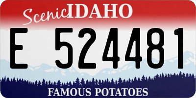 ID license plate E524481