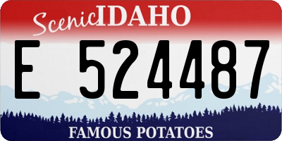 ID license plate E524487