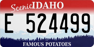 ID license plate E524499
