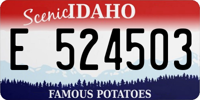 ID license plate E524503