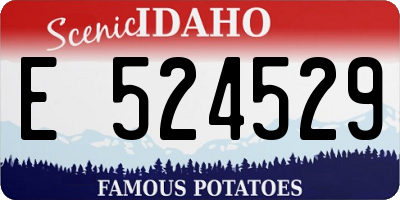ID license plate E524529